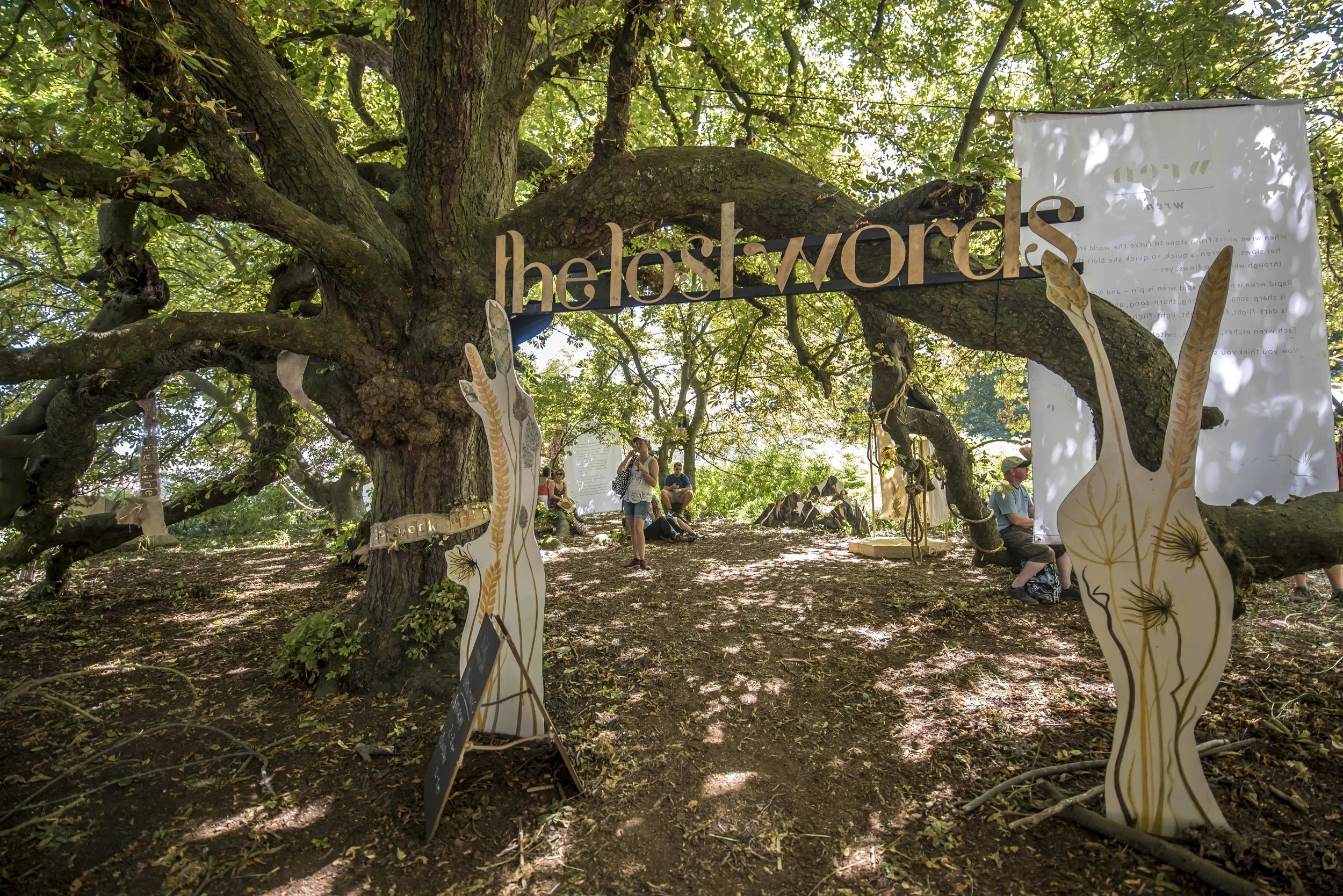 SFS Latitude July 201834645.JPG