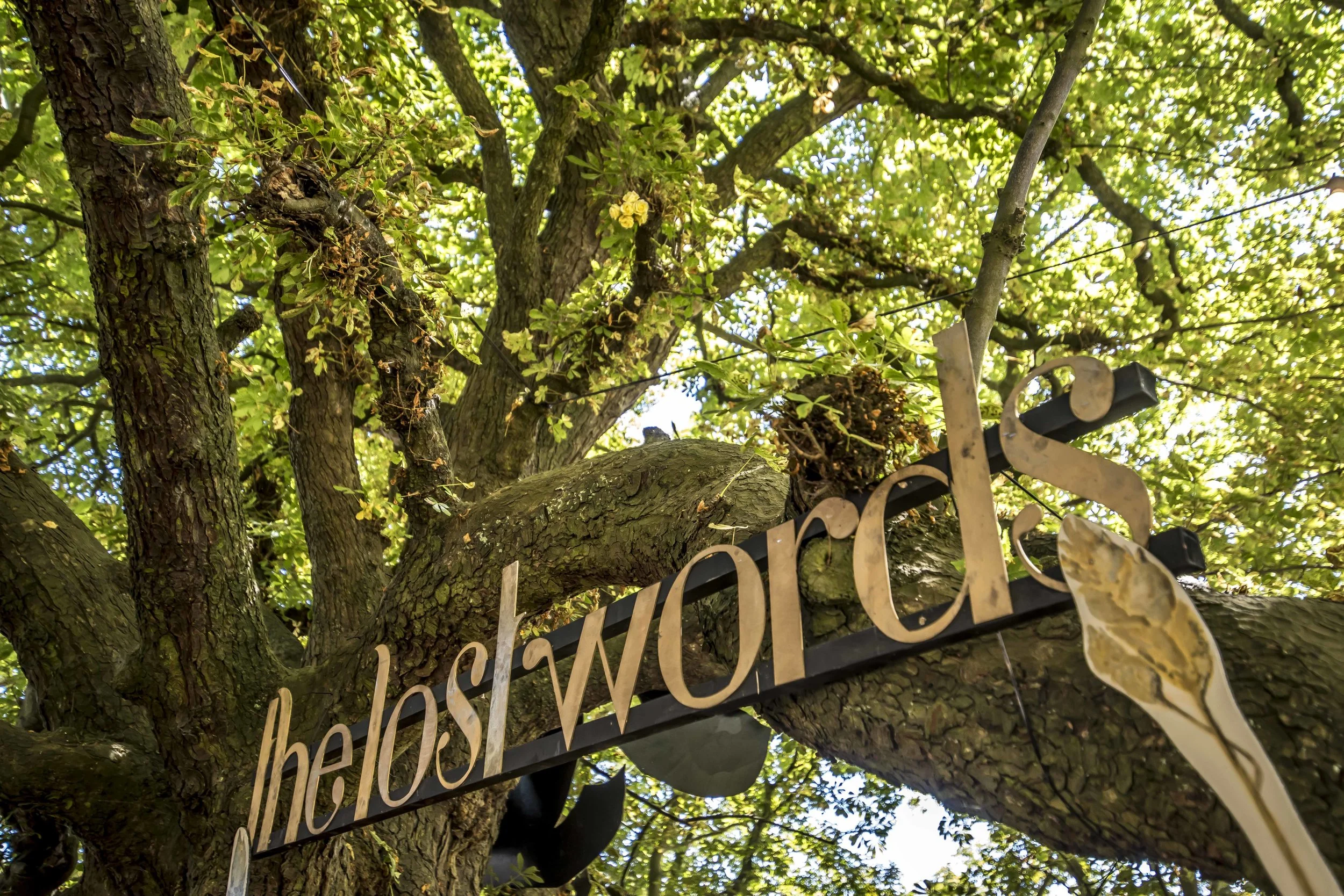 SFS Latitude July 201834646.JPG