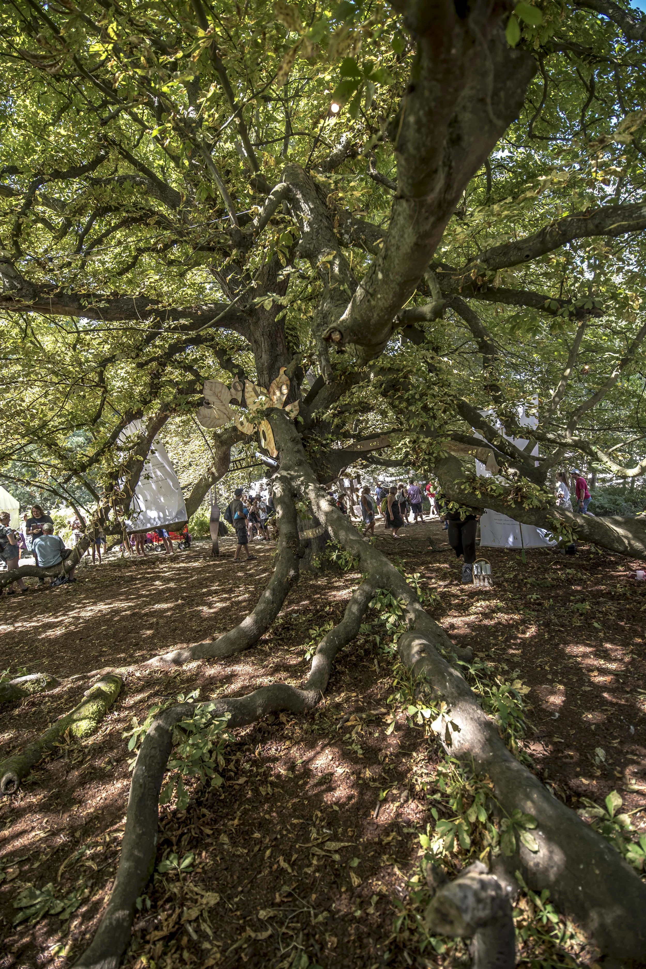 SFS Latitude July 201834648.JPG