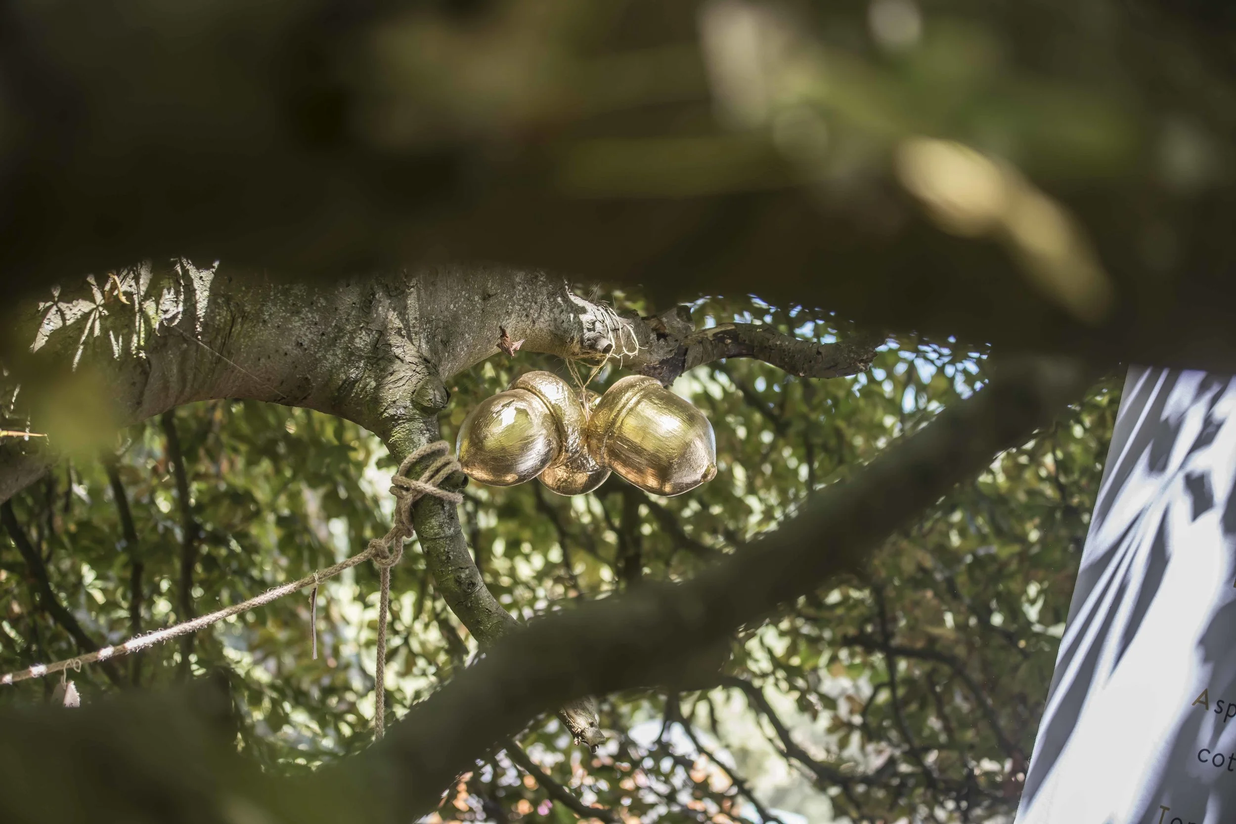 SFS Latitude July 201834673.JPG