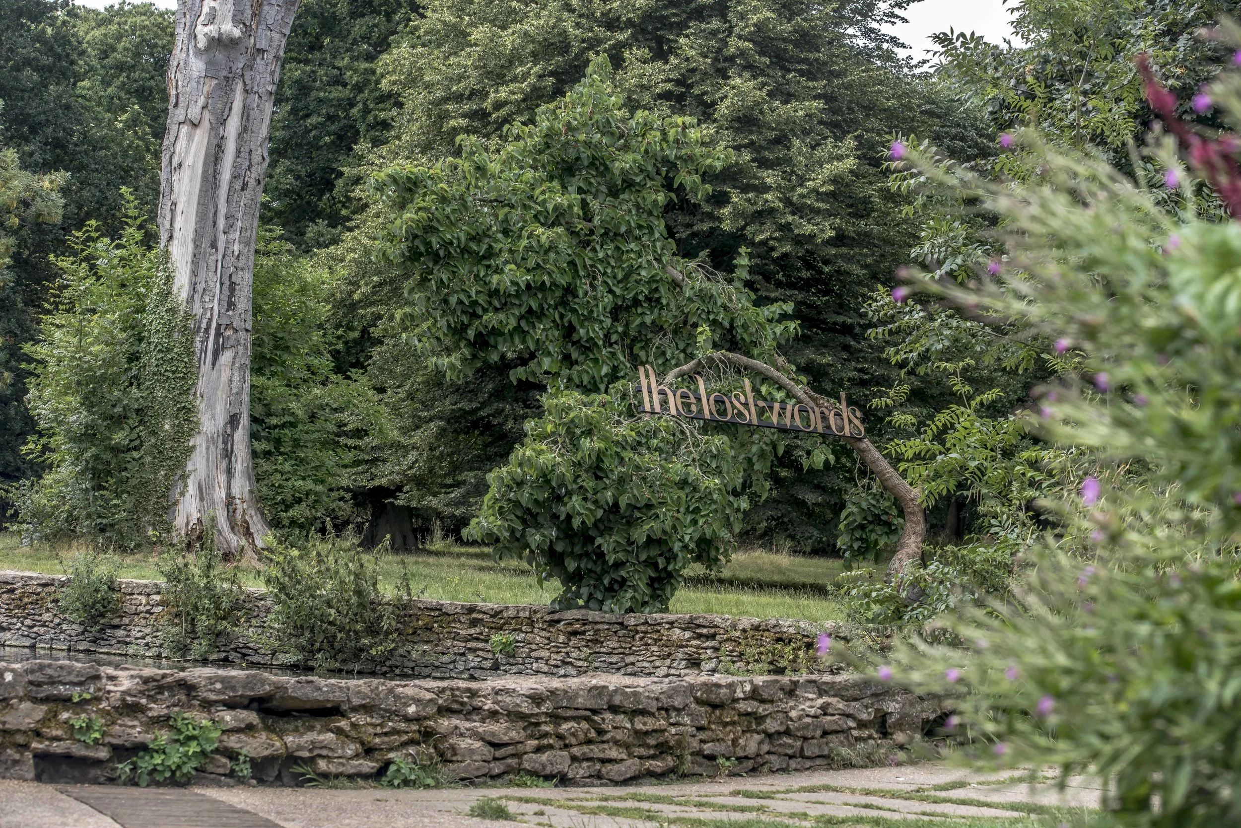 SFS Scunthorpe July 201835356.JPG