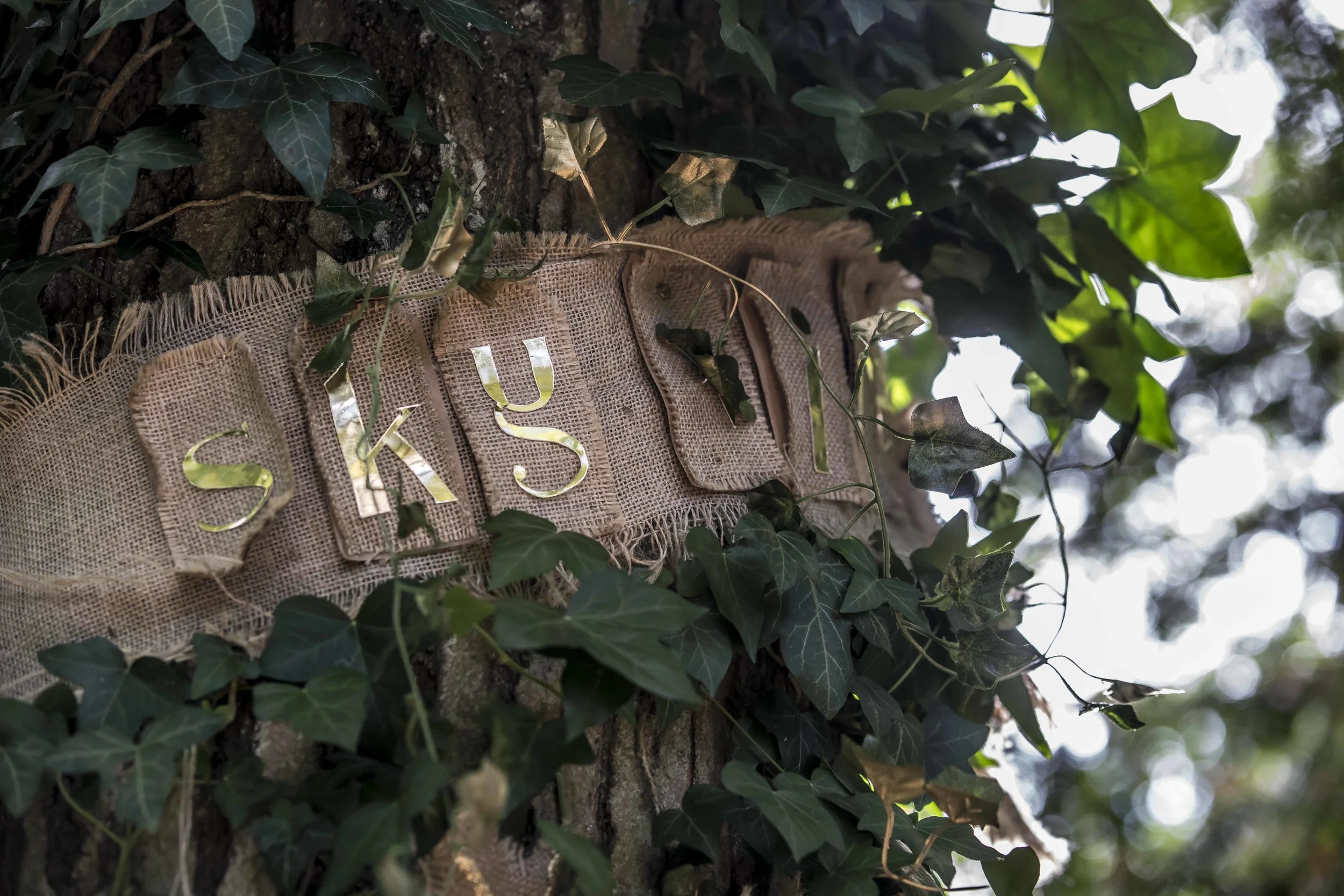 SFS Scunthorpe July 201835439.JPG