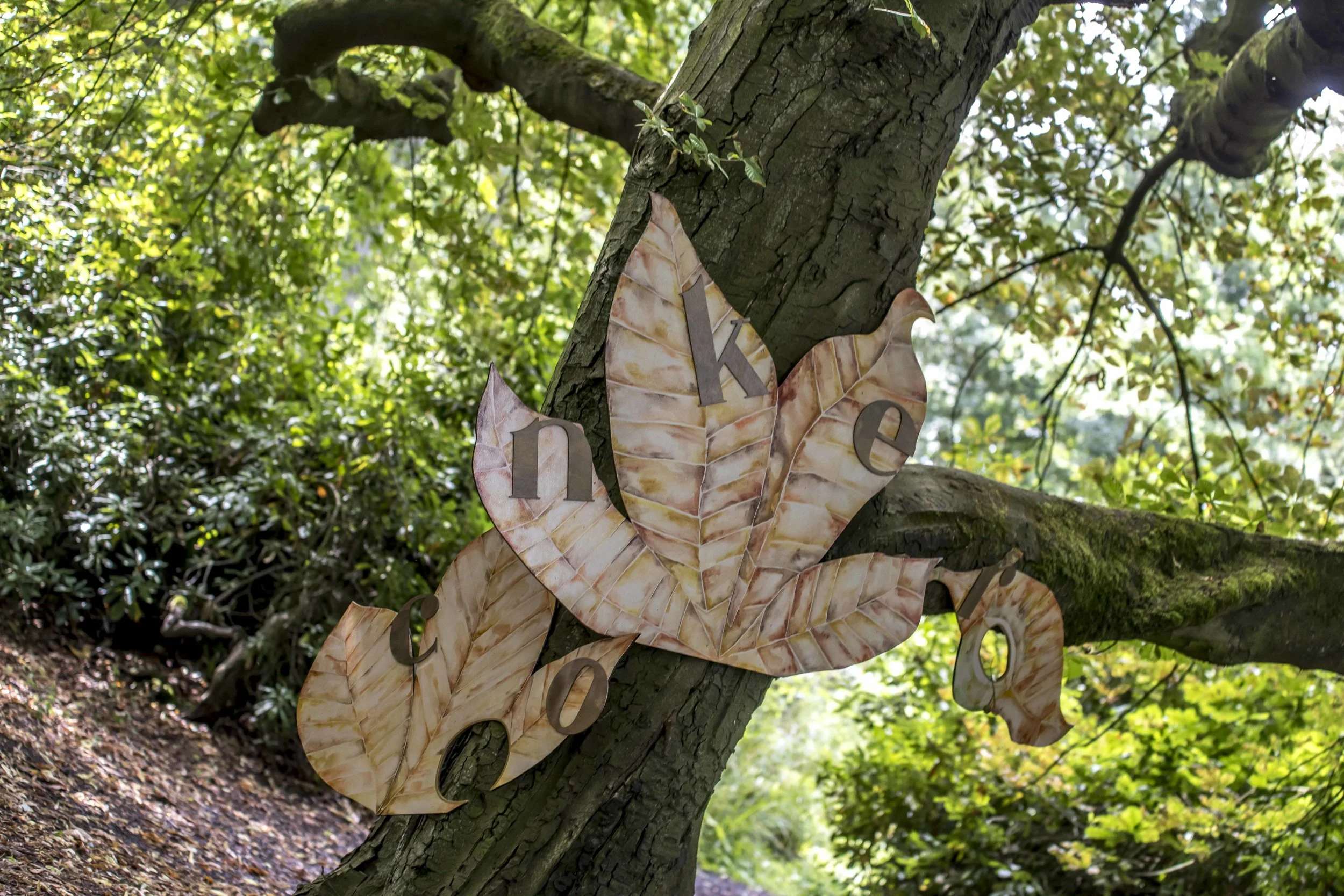 SFS Scunthorpe July 201835441.JPG