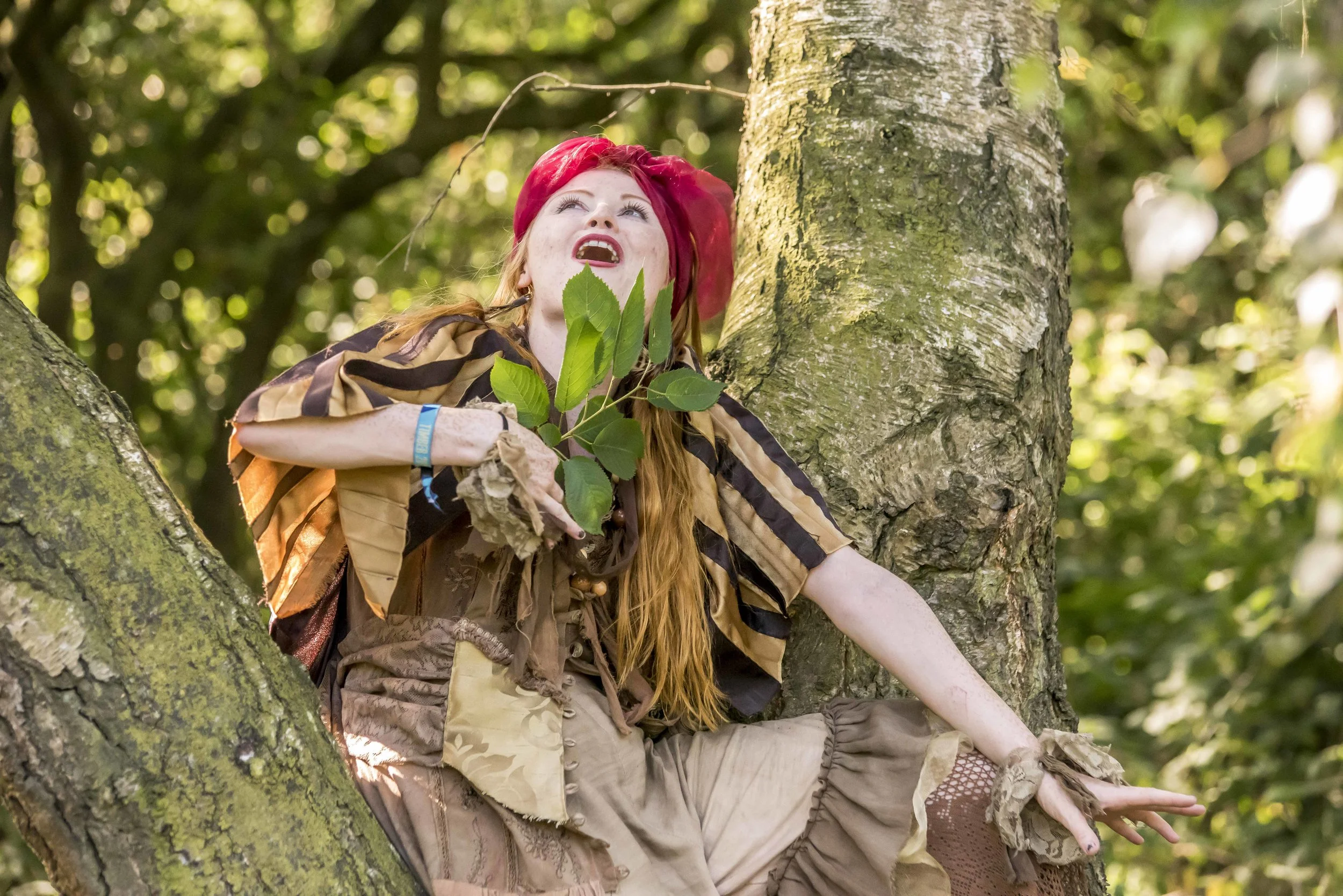 SFS TIMBER July 201834499.JPG