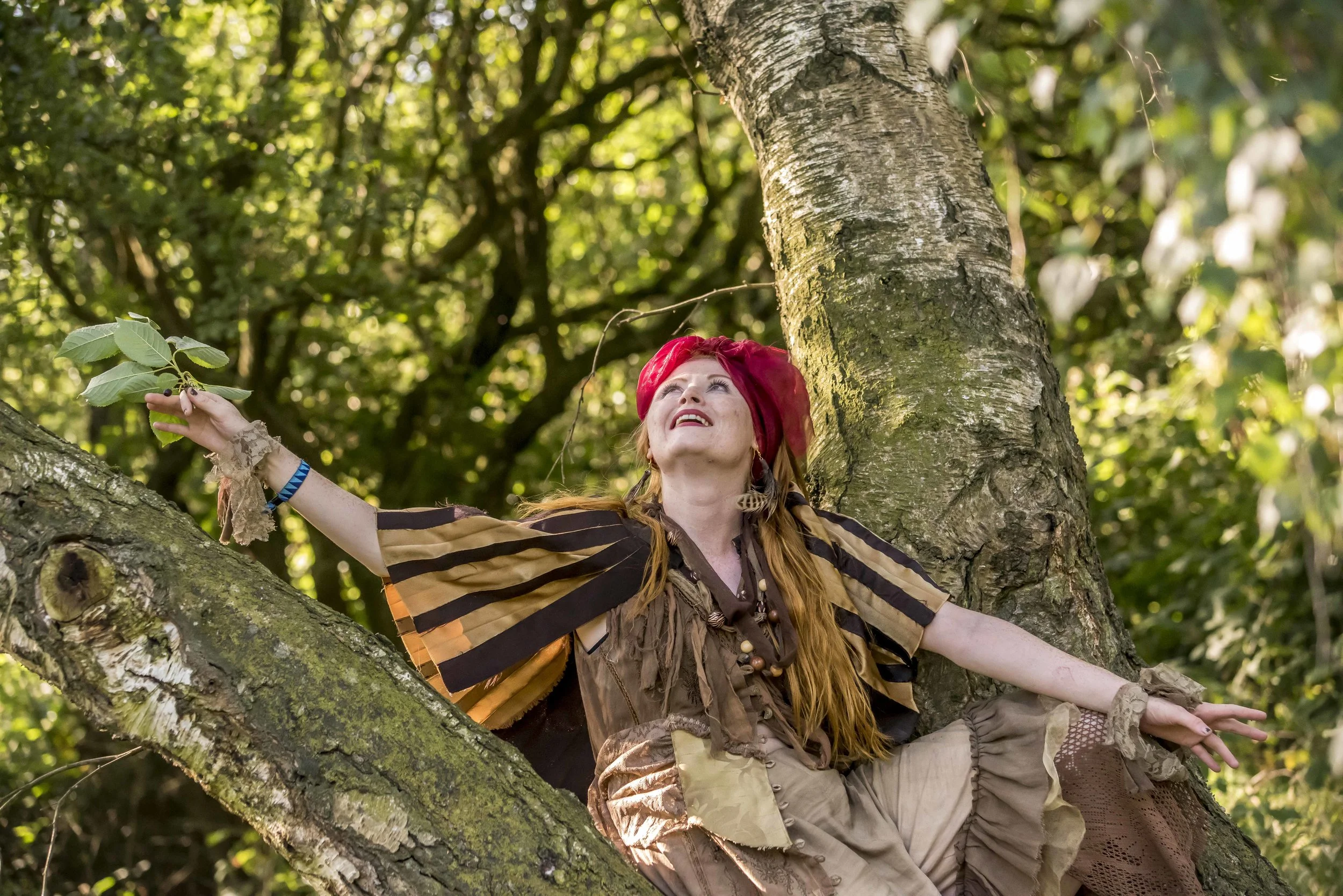 SFS TIMBER July 201834500.JPG