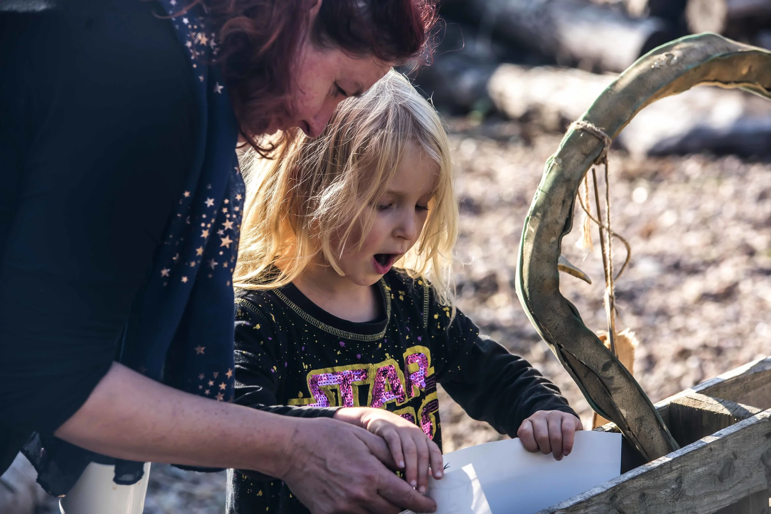 SFS HCGC 2018 37203.JPG