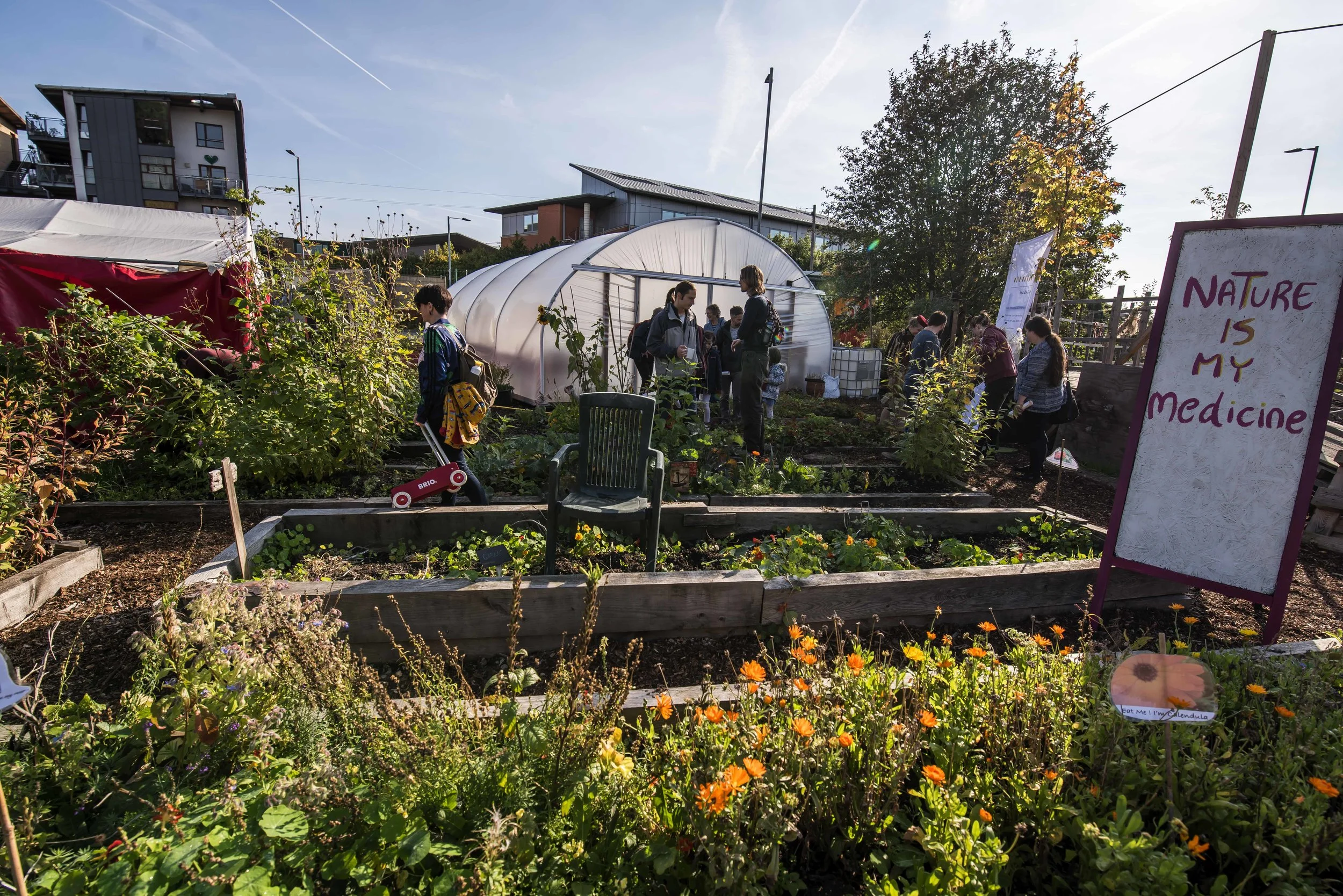 SFS HCGC 2018 37209.JPG