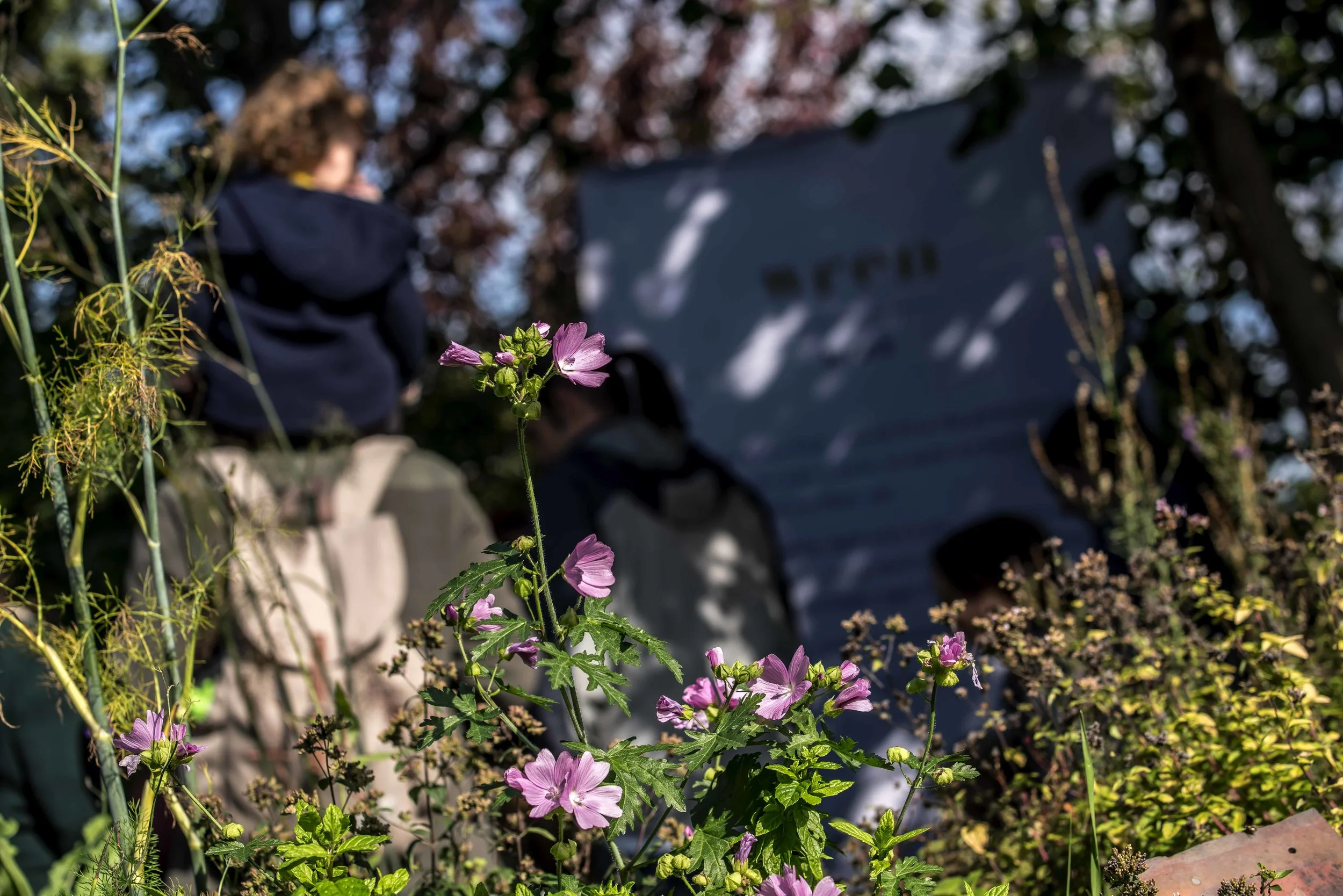 SFS HCGC 2018 37241.JPG