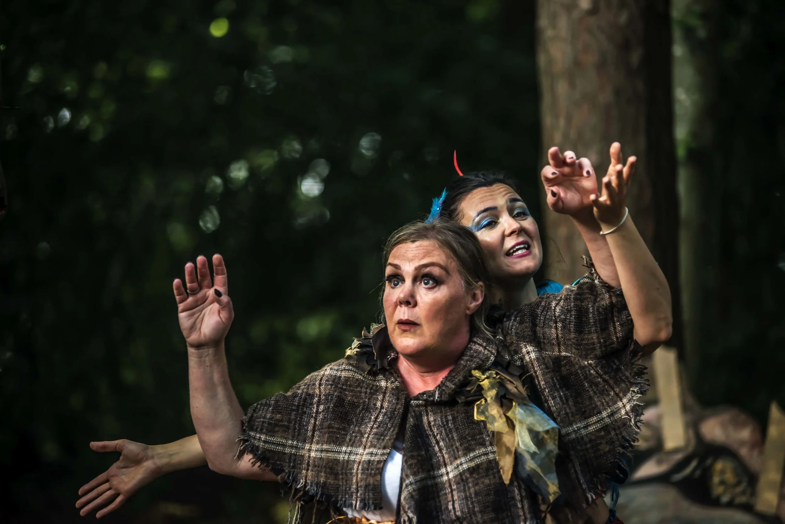 Brockhole 1st edit Sept 2019       54028.JPG