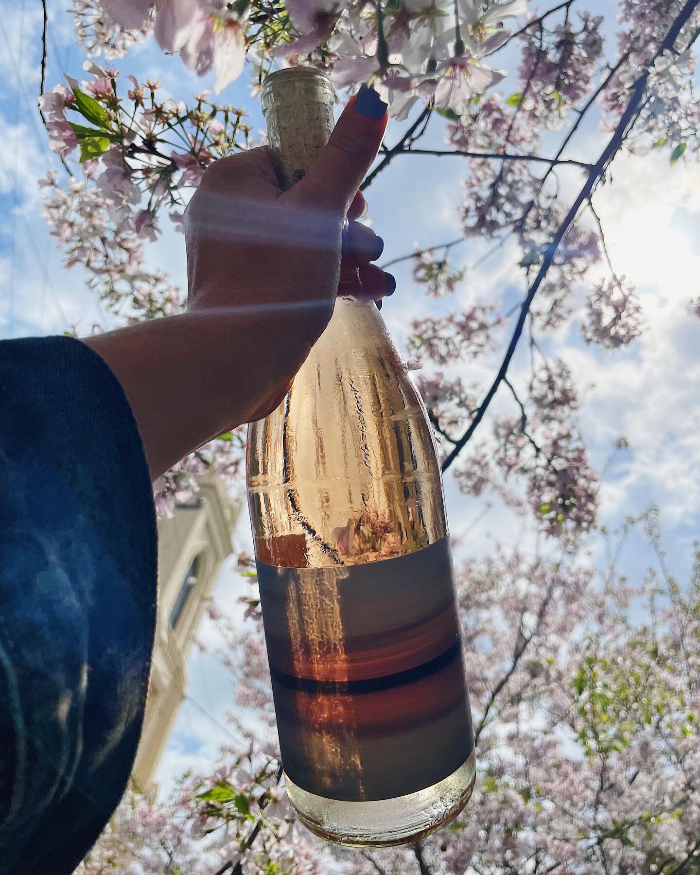 S&bull;P&bull;R&bull;I&bull;N&bull;G is here. ☀️💐👏🏽

#timeplacewineco #timeplace #rose #spring #cheers @jamey_whetstone

📷: @parris.benight