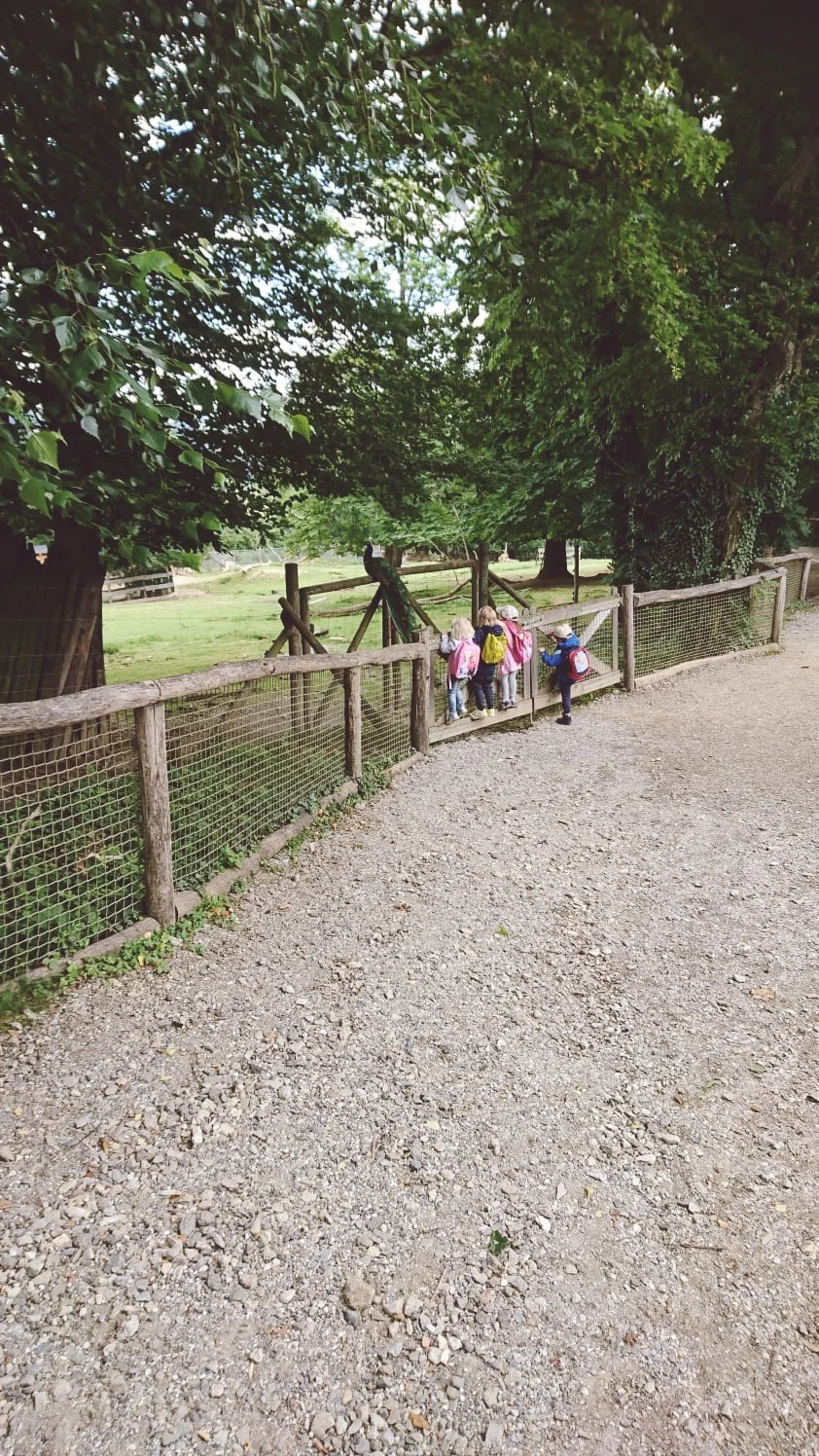 zaubervilla-ausflug-herberstein-28.jpg
