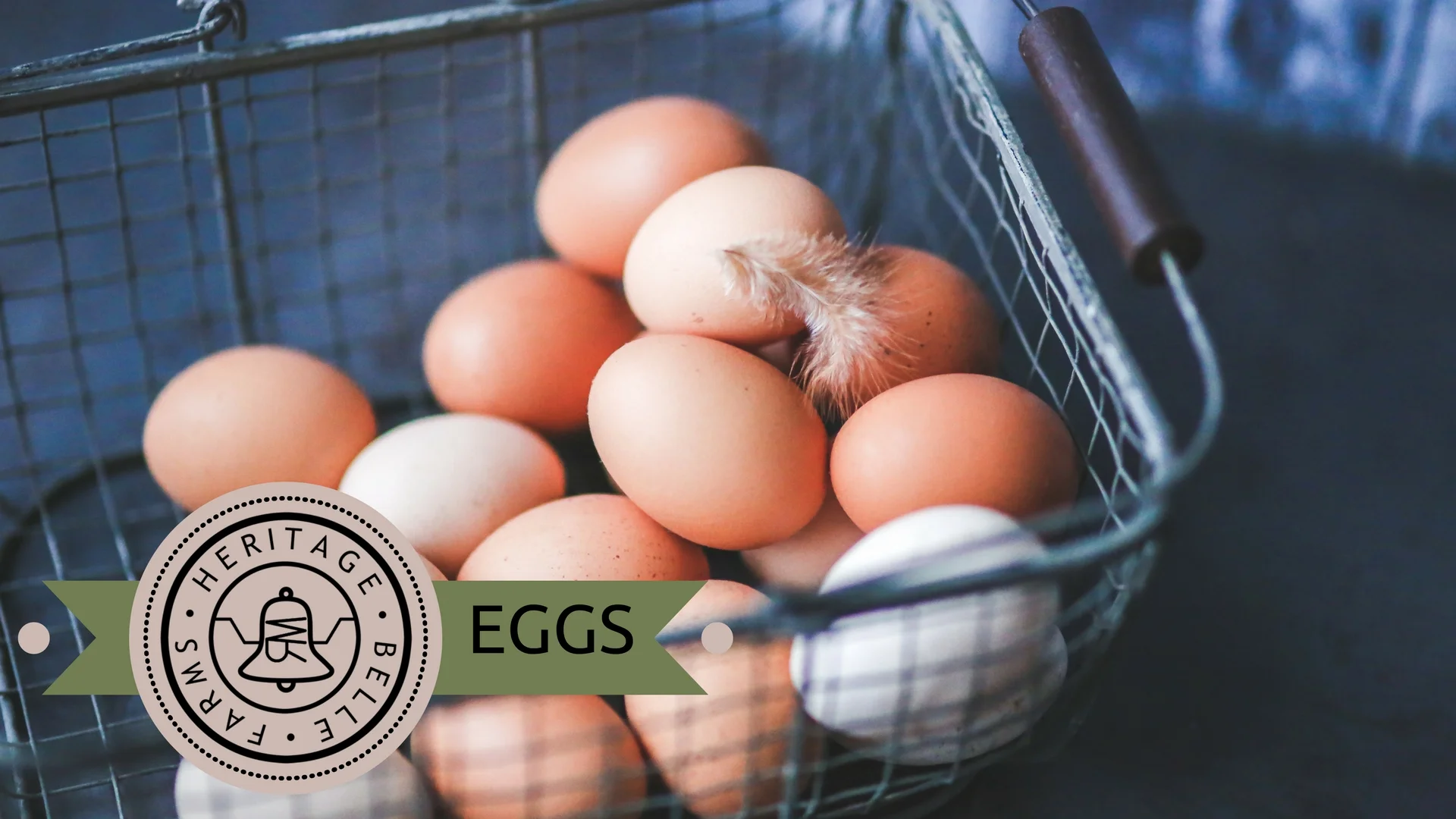 HBF Web eggs.jpg