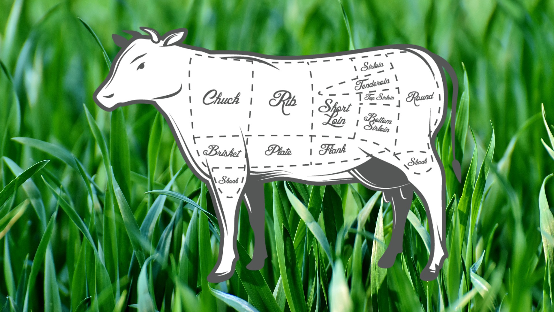 grass beef butcher chart.jpg