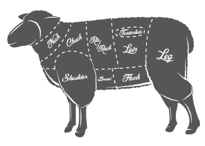 Untitled design (25).png