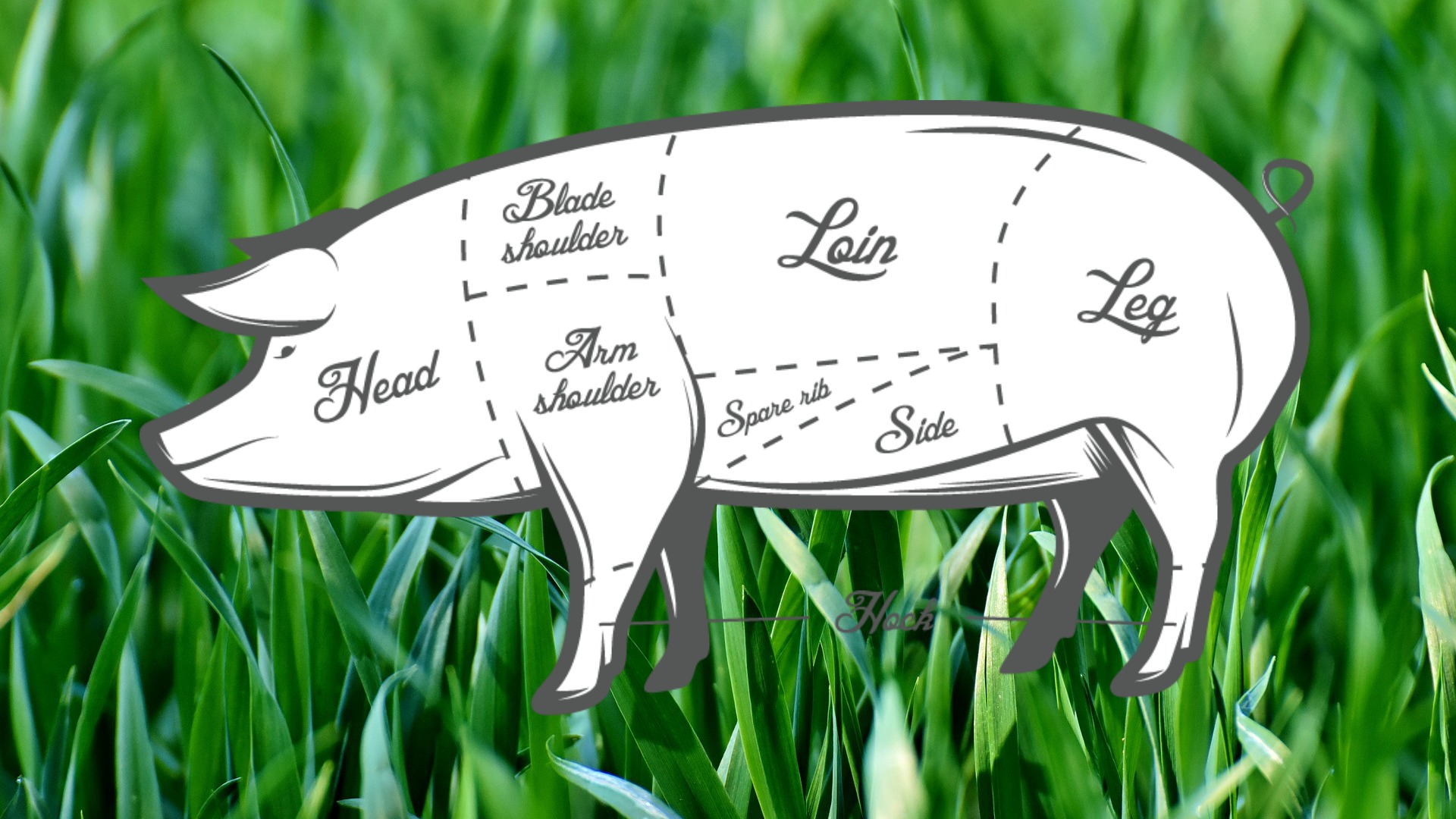 grass pig butcher chart.jpg
