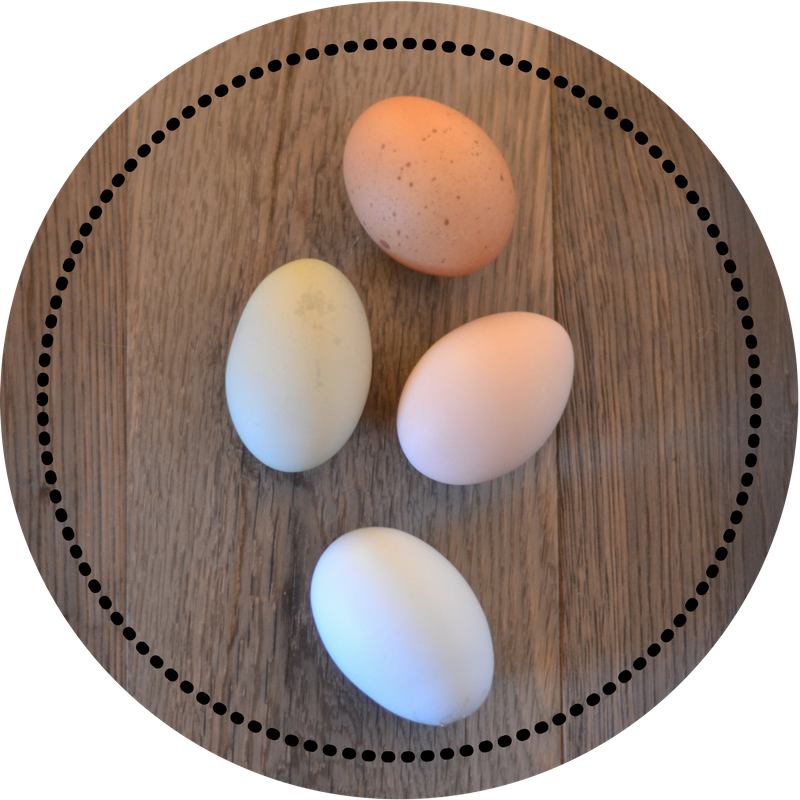 chicken eggs wood.png