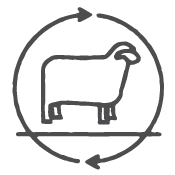 icon-climtate-beneficial-wool.png