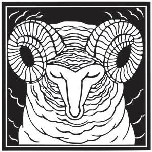 Taos Wool Festival