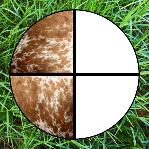 Half Beef Initial DEPOSIT ONLY Today: $500 (plus remaining balance due later)