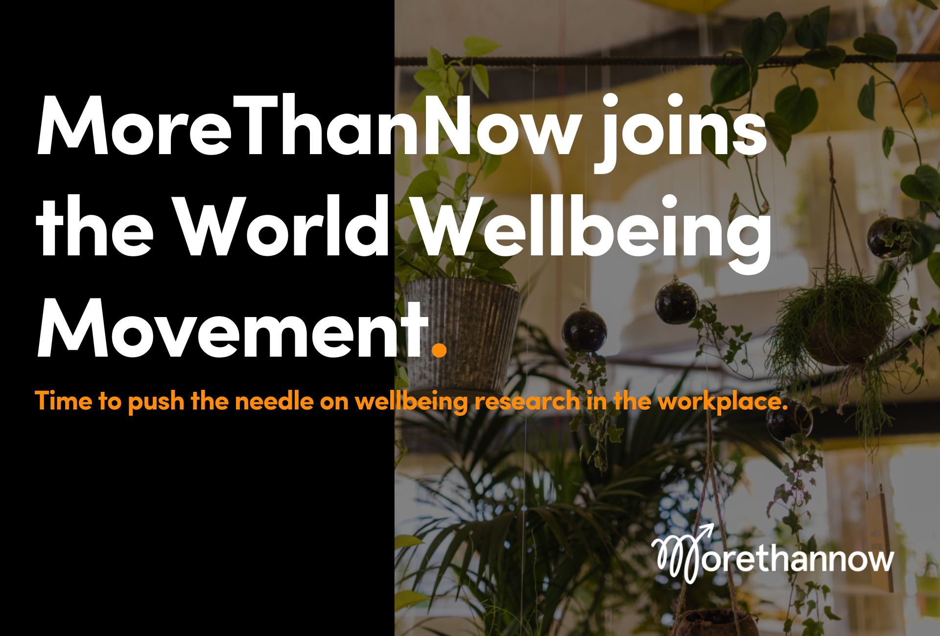 World Wellbeing Movement and MoreThanNow join forces to undertake cutting-edge workplace wellbeing research