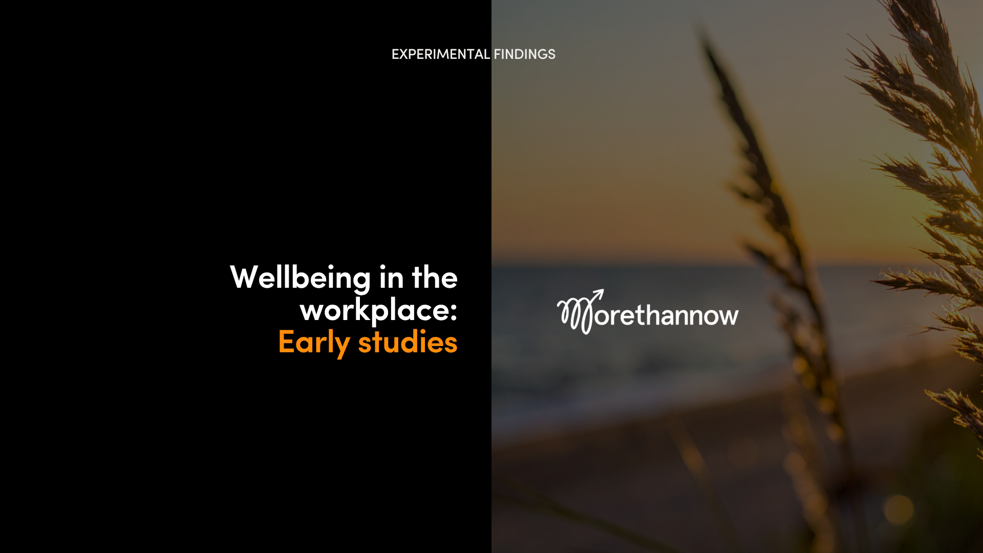 The Wellbeing Lab: Early Studies