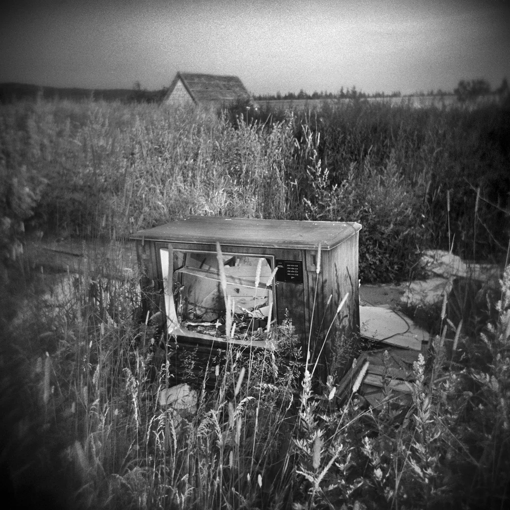24TV in Field.jpg