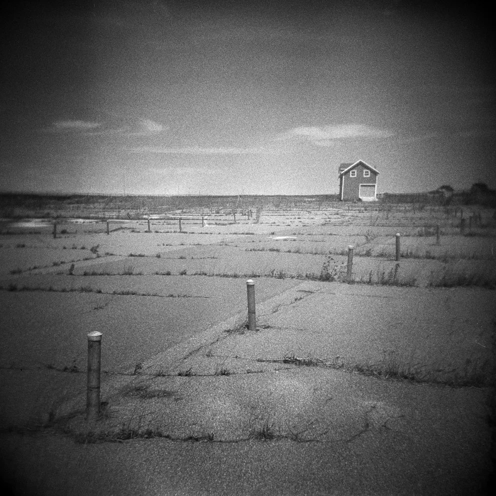 29Racetrack #1.jpg