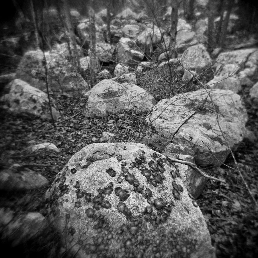 Boulder Field.jpg