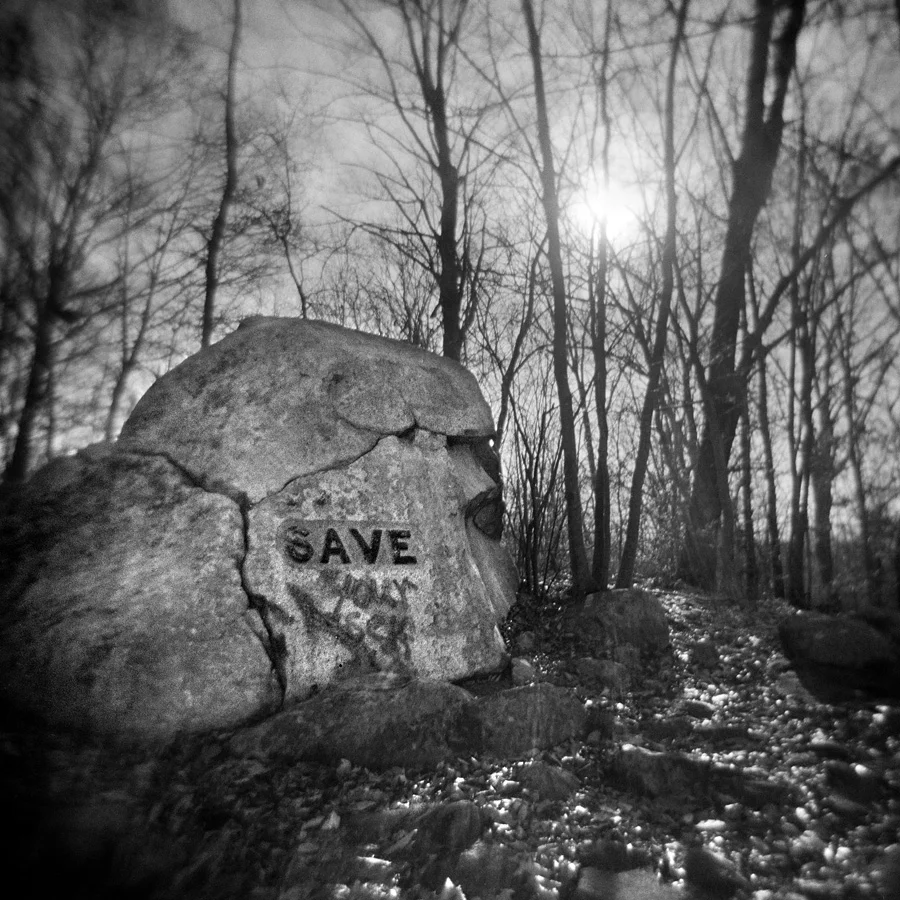 Save Yourself.jpg
