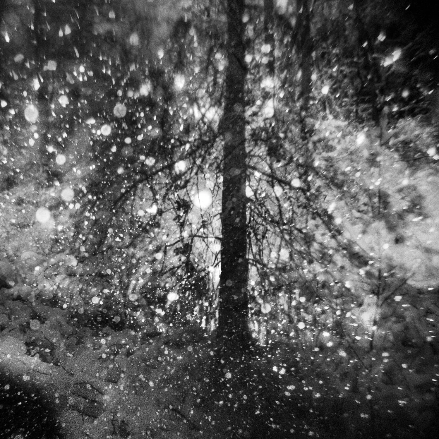 The Snow at Night.jpg