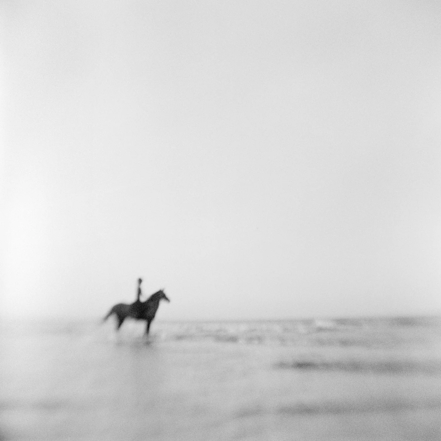 Horse1.jpg