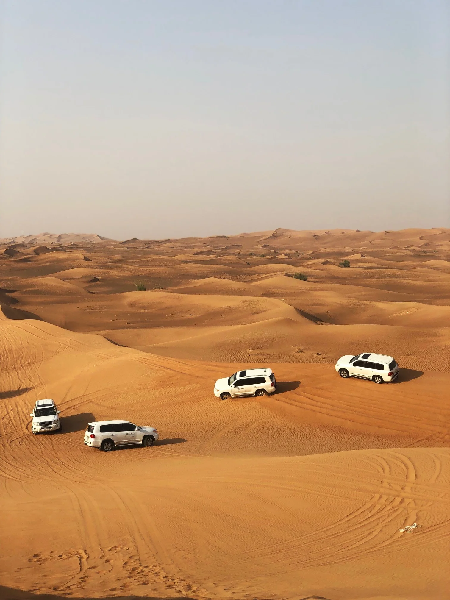 sand dunes.jpg
