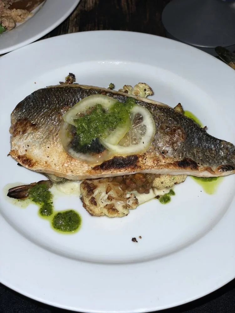 aurora fish.jpg