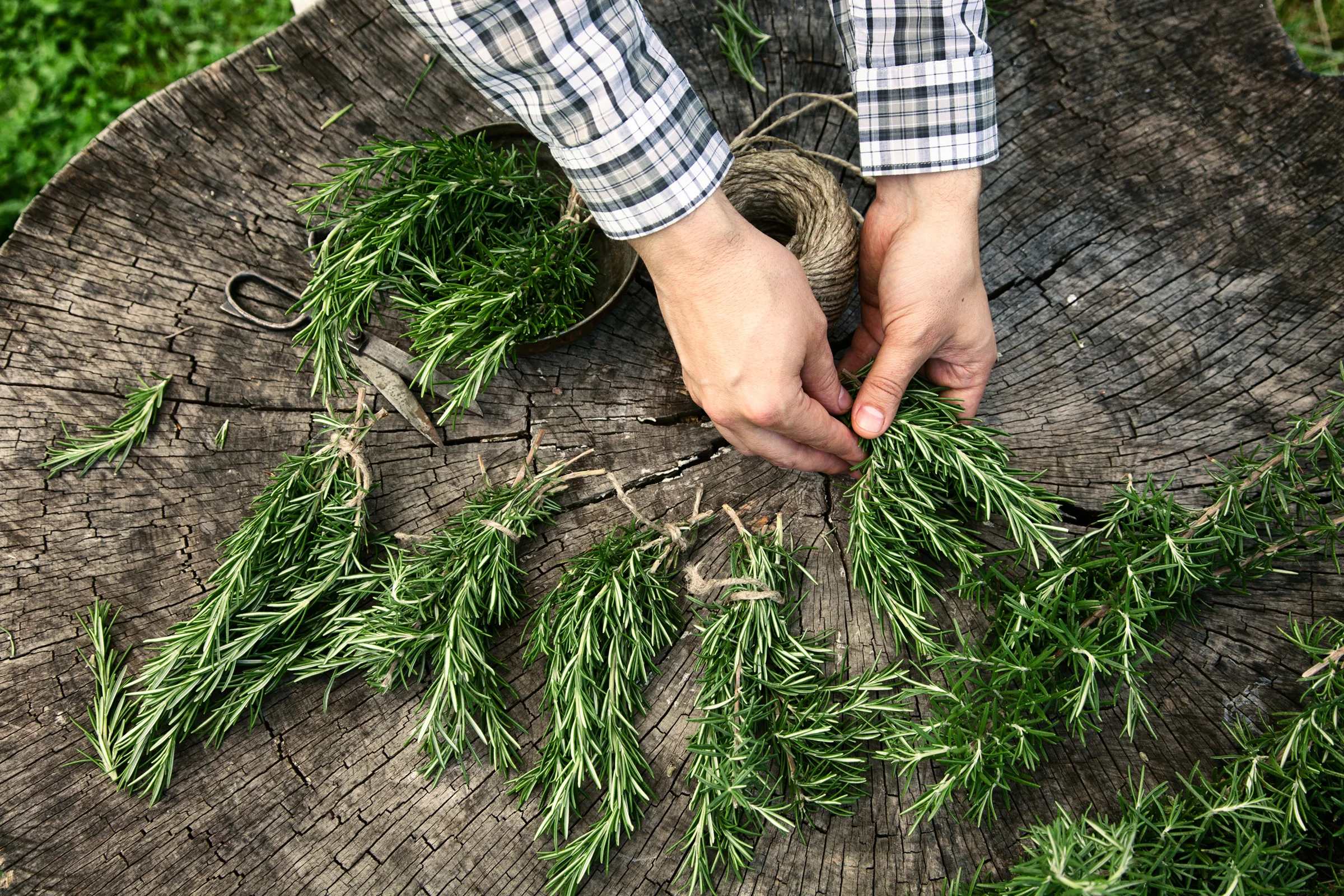 WayneSteinke-Naturopath_Resources.jpg