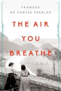 air.jpg
