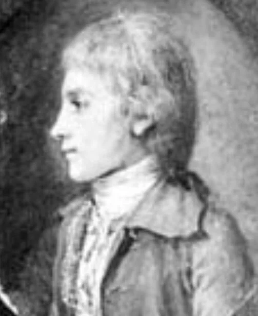 Hamilton's Adoptive Brother - Edward Stevens