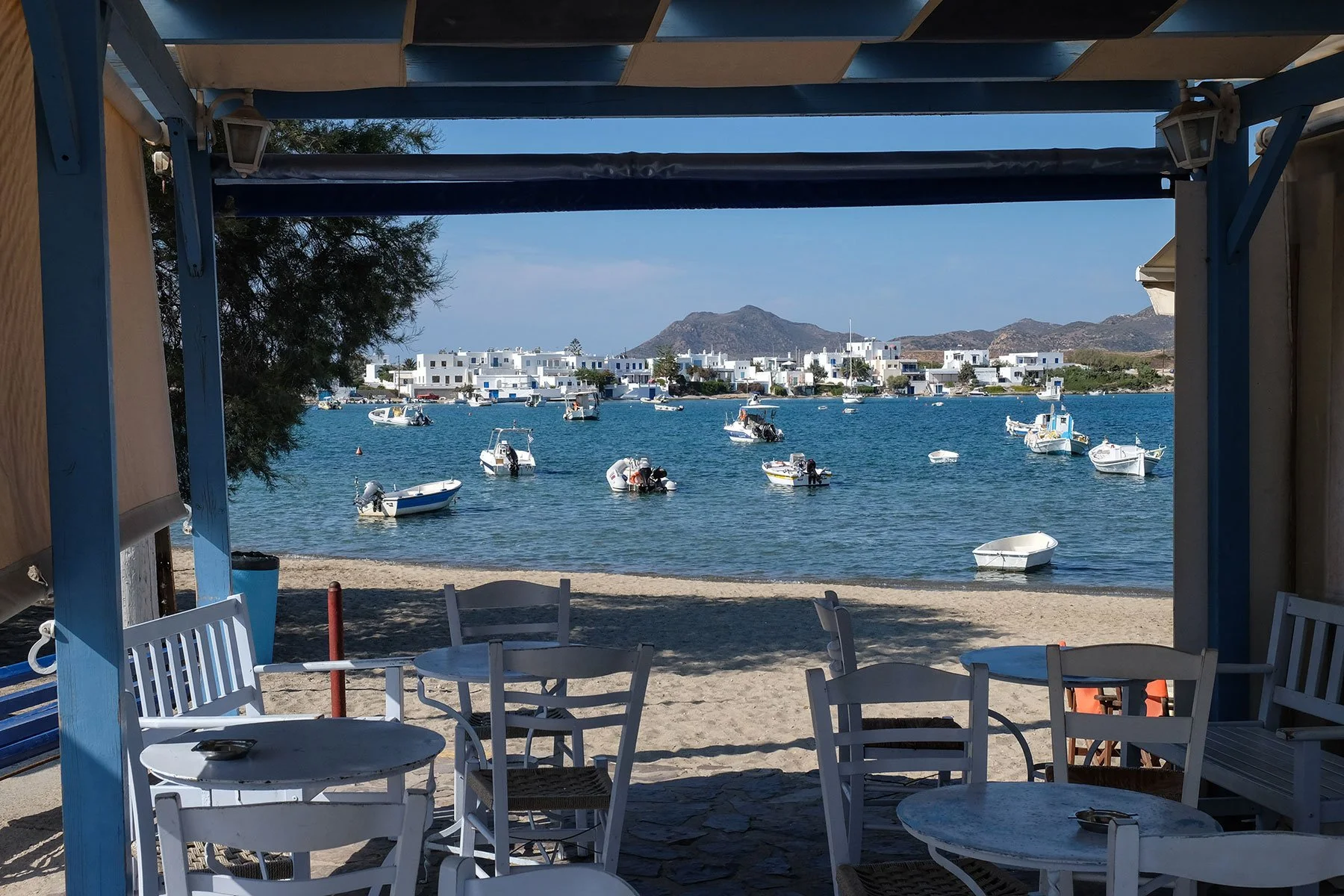 DSCF7563.jpg