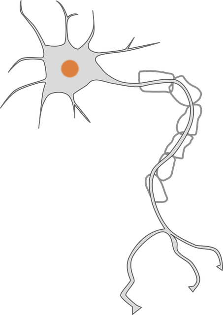 axon-1294021_640.png