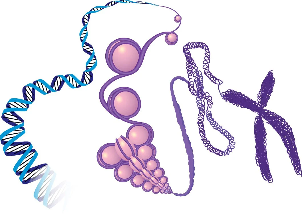 https://sciencelife.uchospitals.edu/2015/06/04/new-tool-brings-standards-to-epigenetic-studies/