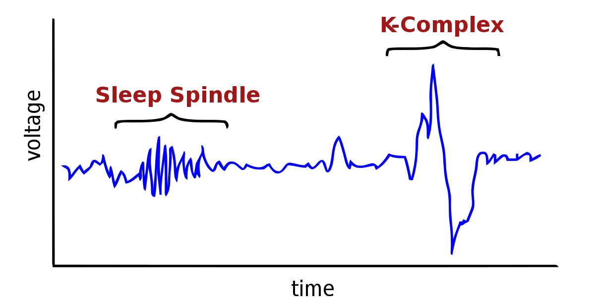 What are sleep spindles? — Brain Stuff