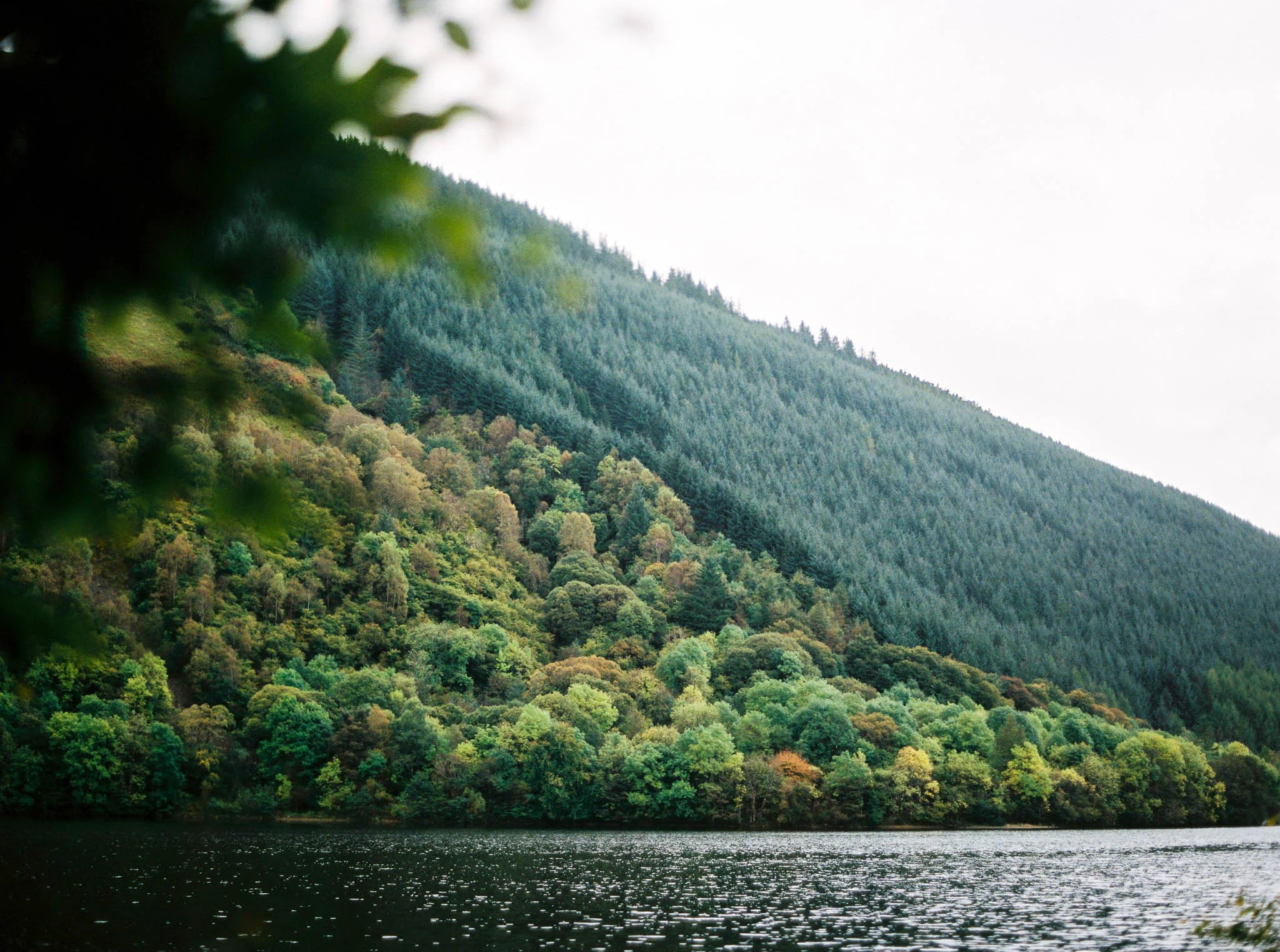 Best of Scotland 2017002.jpg