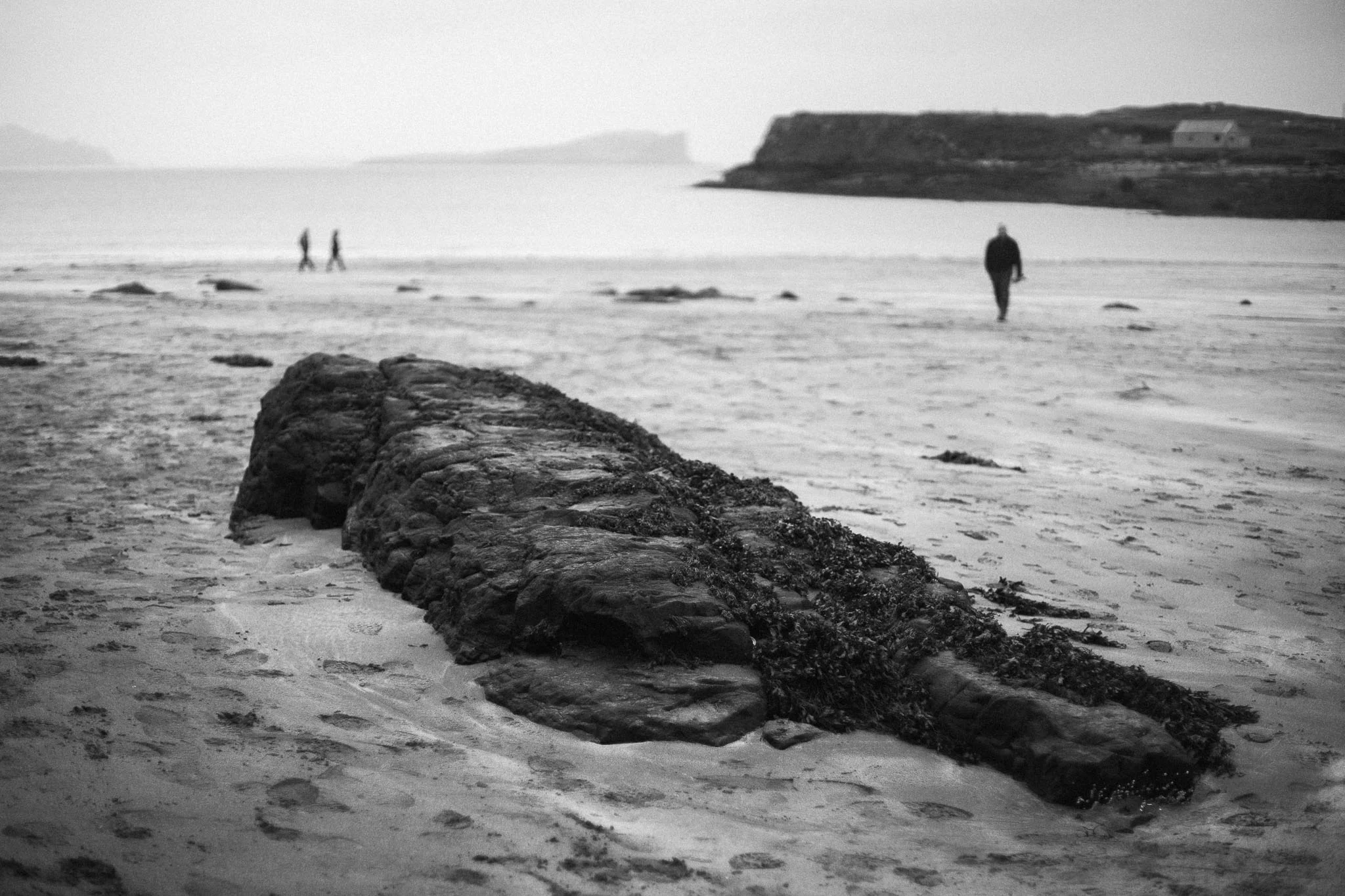 Best of Scotland 2017051.jpg