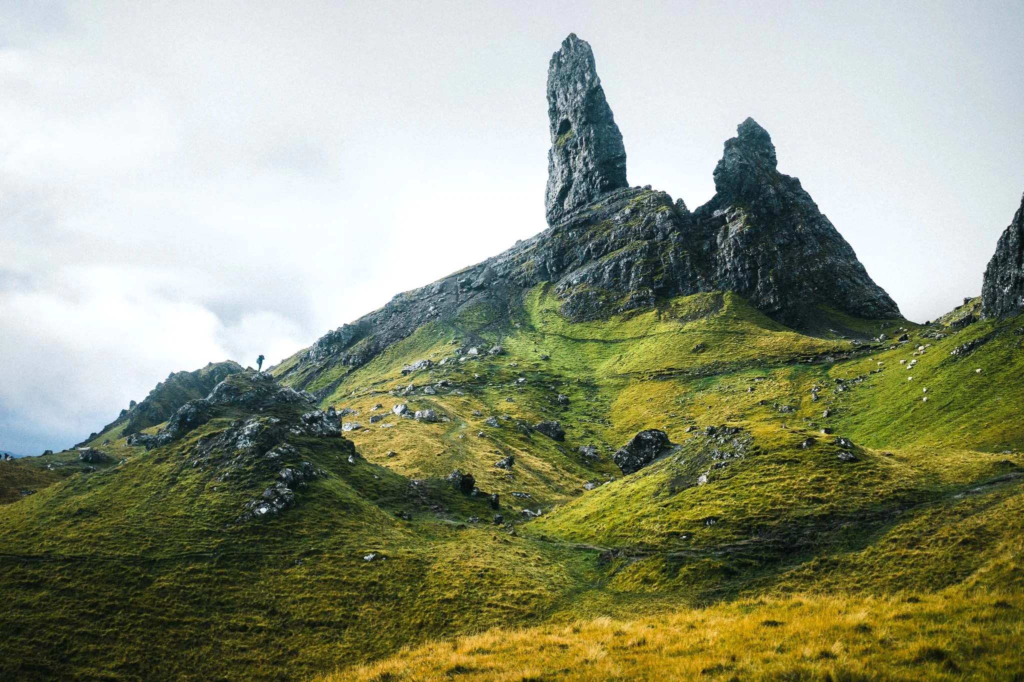 Best of Scotland 2017068.jpg