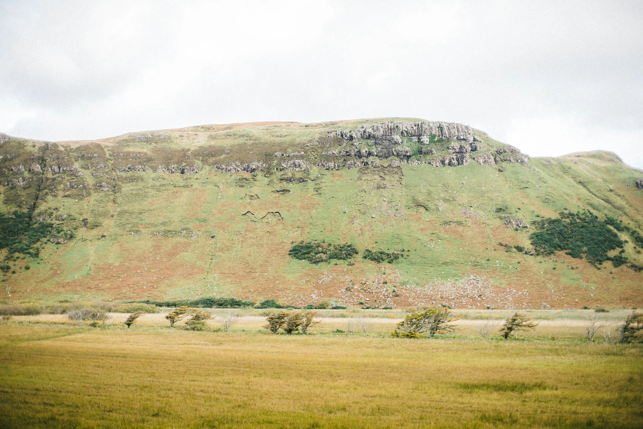 Best of Scotland 2017108.jpg