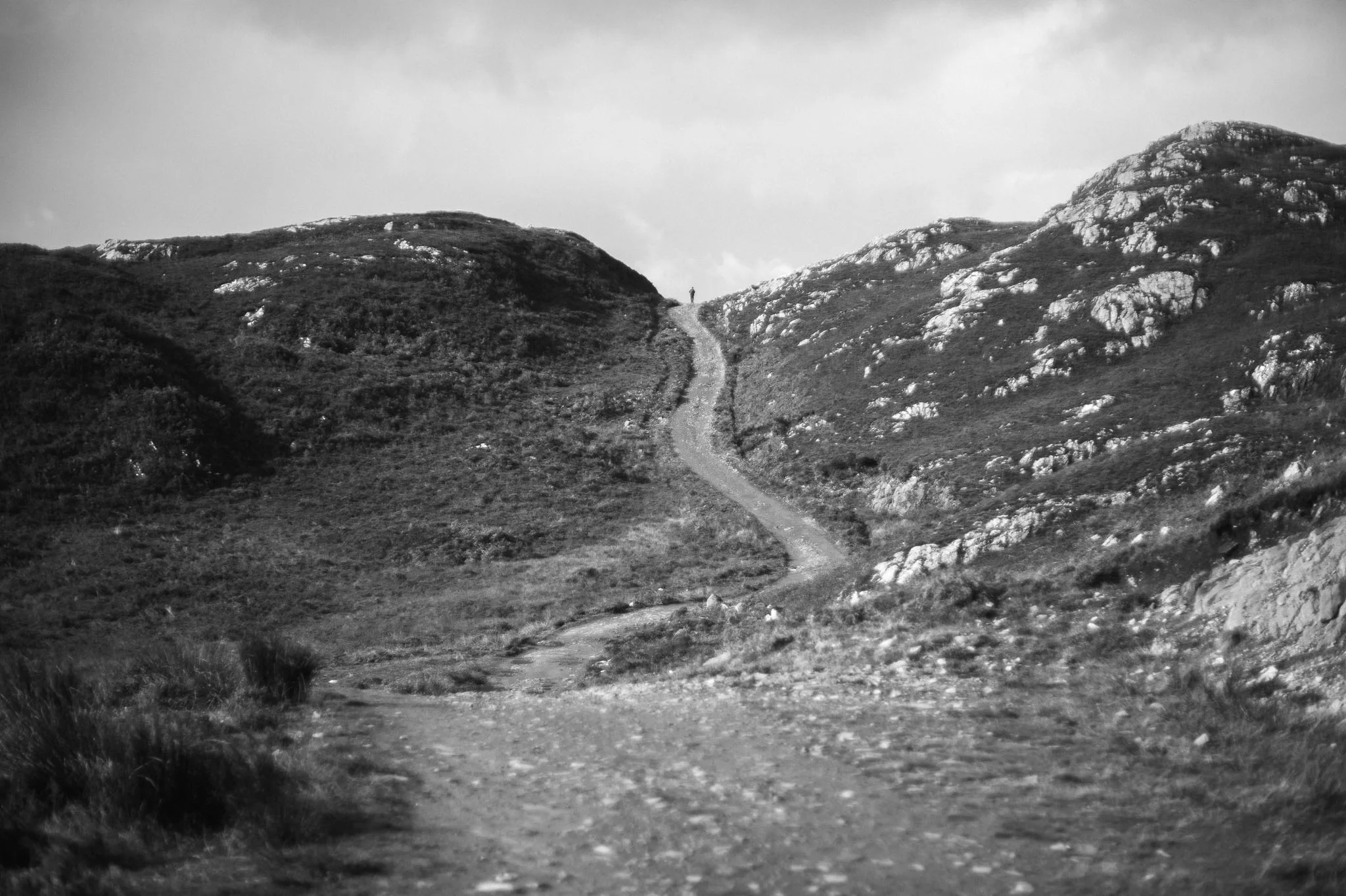 Best of Scotland 2017156.jpg