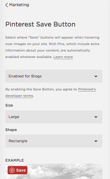 Squarespace Pinterest Save Button.png