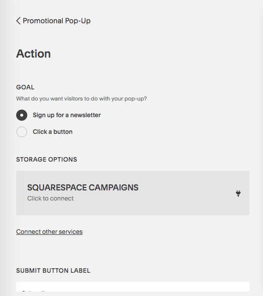 Squarespace Popup Action.png