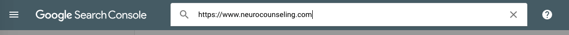 Google Enter URL.png