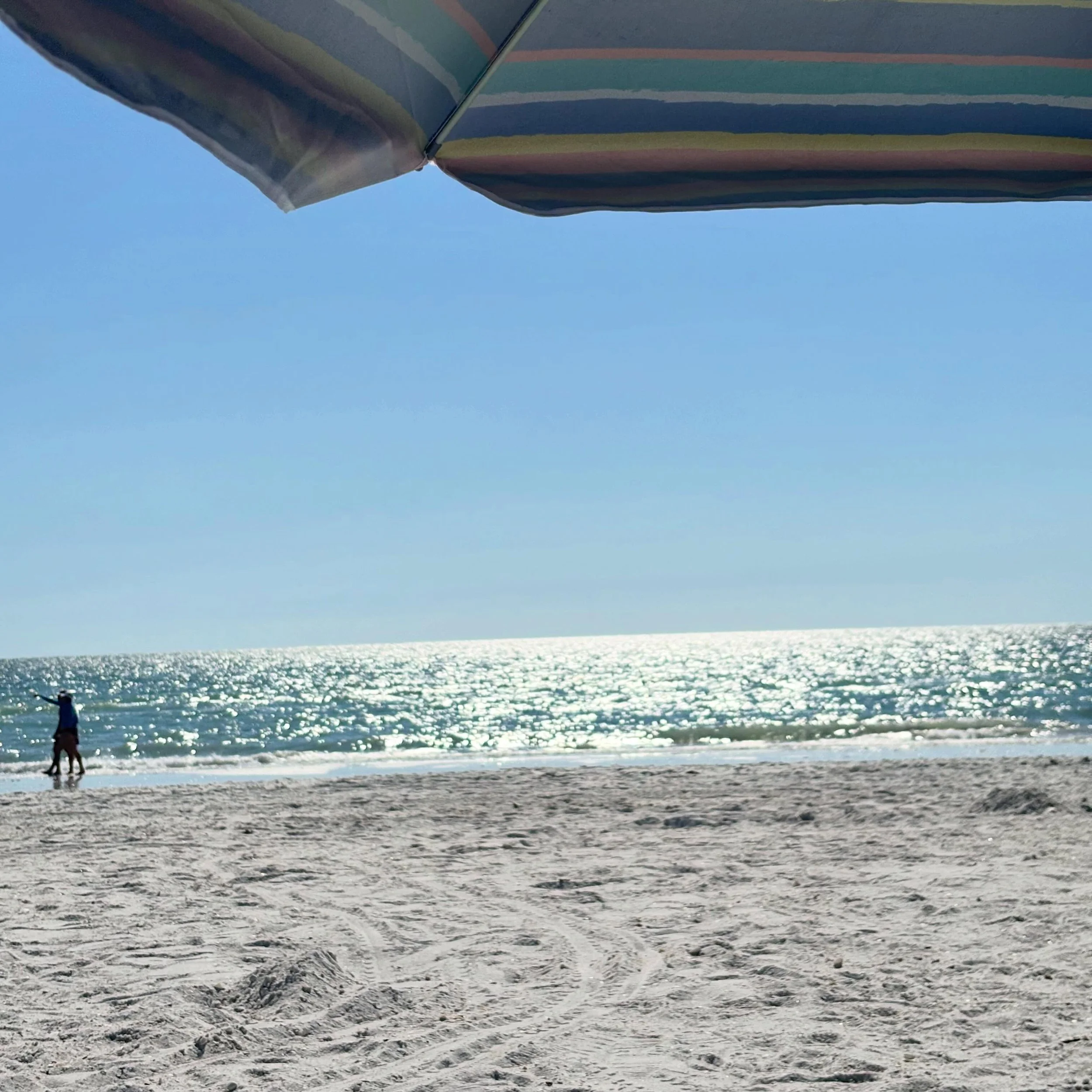 I didn&rsquo;t take any photos but, yesterday I traveled to Lancaster to complete my first @forearm_fusion workshop! 💪 I&rsquo;m so excited to use these new techniques on my clients for deeper work 🧚&zwj;♀️ Enjoy this photo from a recent beach day!