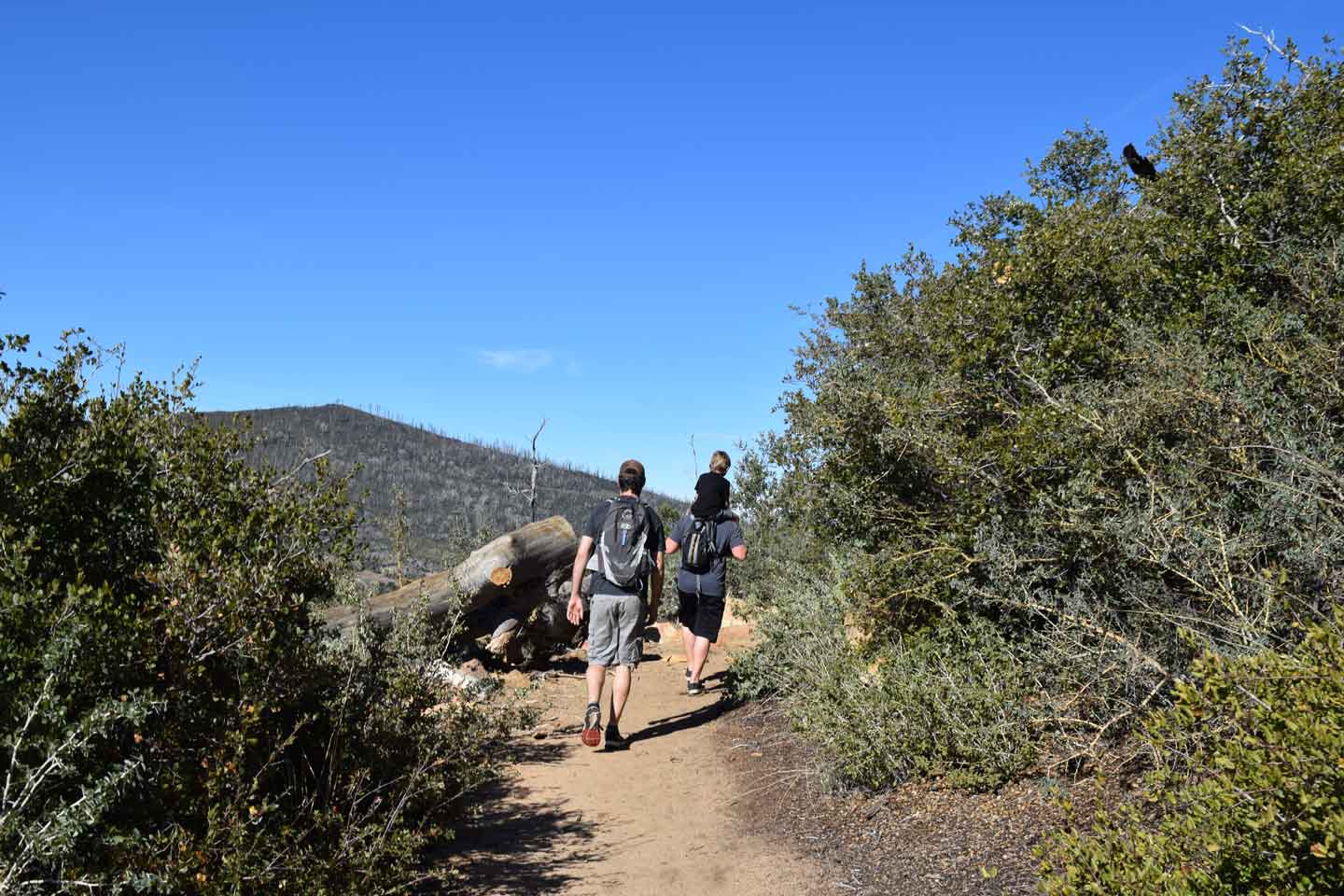 hiking.jpg